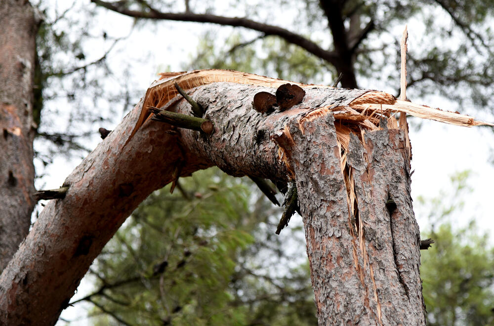 <p>Veliko nevrijeme zahvatilo je sinoć Podgoricu. </p>  <p>Oluja je pričinila veliku štetu - poplavljene su bile ulice, u pojedinim dijelovima grada je voda ušla i u podrume i poslovne prostore u suterenu, a vjetar je na dosta lokacija polomio drveće.</p>  <p>Pogledajte fotografije koje je zailježio fotoreporter "Vijesti", Luka Zeković.</p>
