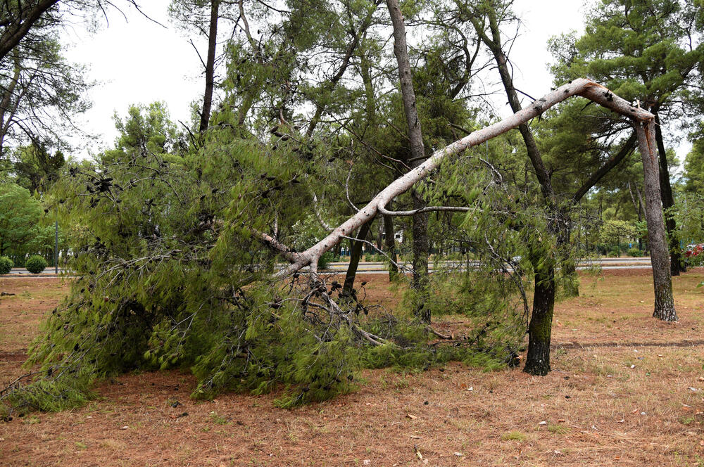 <p>Veliko nevrijeme zahvatilo je sinoć Podgoricu. </p>  <p>Oluja je pričinila veliku štetu - poplavljene su bile ulice, u pojedinim dijelovima grada je voda ušla i u podrume i poslovne prostore u suterenu, a vjetar je na dosta lokacija polomio drveće.</p>  <p>Pogledajte fotografije koje je zailježio fotoreporter "Vijesti", Luka Zeković.</p>