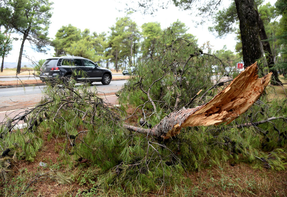 <p>Veliko nevrijeme zahvatilo je sinoć Podgoricu. </p>  <p>Oluja je pričinila veliku štetu - poplavljene su bile ulice, u pojedinim dijelovima grada je voda ušla i u podrume i poslovne prostore u suterenu, a vjetar je na dosta lokacija polomio drveće.</p>  <p>Pogledajte fotografije koje je zailježio fotoreporter "Vijesti", Luka Zeković.</p>