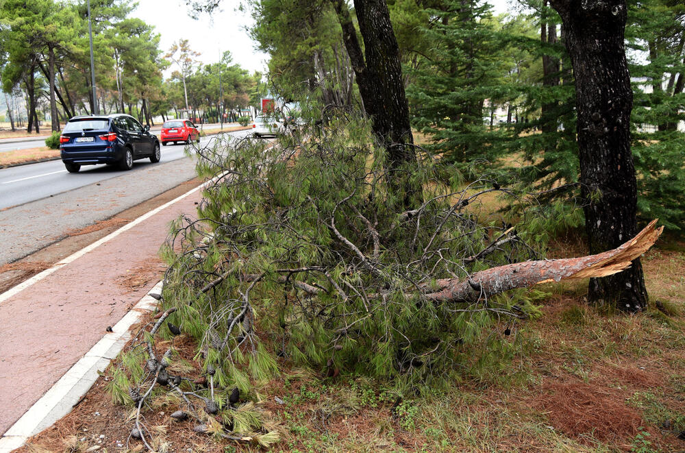 <p>Veliko nevrijeme zahvatilo je sinoć Podgoricu. </p>  <p>Oluja je pričinila veliku štetu - poplavljene su bile ulice, u pojedinim dijelovima grada je voda ušla i u podrume i poslovne prostore u suterenu, a vjetar je na dosta lokacija polomio drveće.</p>  <p>Pogledajte fotografije koje je zailježio fotoreporter "Vijesti", Luka Zeković.</p>