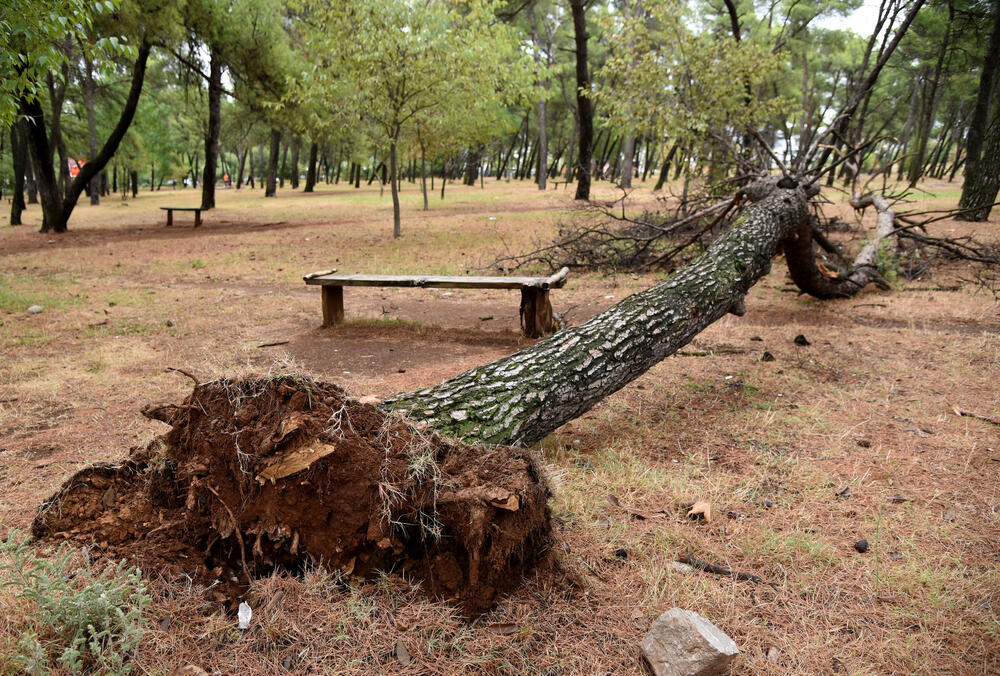 <p>Veliko nevrijeme zahvatilo je sinoć Podgoricu. </p>  <p>Oluja je pričinila veliku štetu - poplavljene su bile ulice, u pojedinim dijelovima grada je voda ušla i u podrume i poslovne prostore u suterenu, a vjetar je na dosta lokacija polomio drveće.</p>  <p>Pogledajte fotografije koje je zailježio fotoreporter "Vijesti", Luka Zeković.</p>