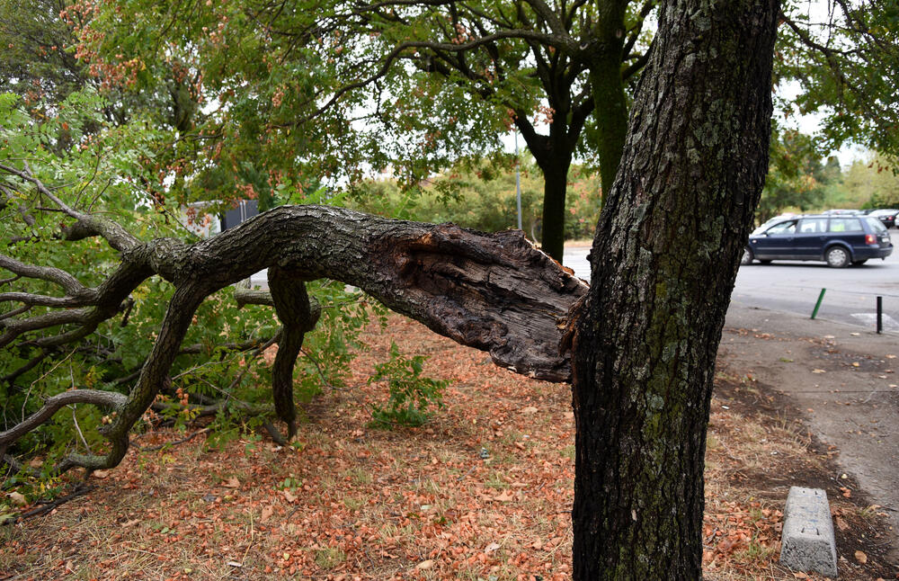 <p>Veliko nevrijeme zahvatilo je sinoć Podgoricu. </p>  <p>Oluja je pričinila veliku štetu - poplavljene su bile ulice, u pojedinim dijelovima grada je voda ušla i u podrume i poslovne prostore u suterenu, a vjetar je na dosta lokacija polomio drveće.</p>  <p>Pogledajte fotografije koje je zailježio fotoreporter "Vijesti", Luka Zeković.</p>