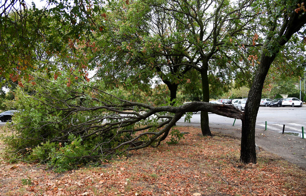 <p>Veliko nevrijeme zahvatilo je sinoć Podgoricu. </p>  <p>Oluja je pričinila veliku štetu - poplavljene su bile ulice, u pojedinim dijelovima grada je voda ušla i u podrume i poslovne prostore u suterenu, a vjetar je na dosta lokacija polomio drveće.</p>  <p>Pogledajte fotografije koje je zailježio fotoreporter "Vijesti", Luka Zeković.</p>