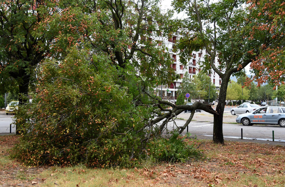 <p>Veliko nevrijeme zahvatilo je sinoć Podgoricu. </p>  <p>Oluja je pričinila veliku štetu - poplavljene su bile ulice, u pojedinim dijelovima grada je voda ušla i u podrume i poslovne prostore u suterenu, a vjetar je na dosta lokacija polomio drveće.</p>  <p>Pogledajte fotografije koje je zailježio fotoreporter "Vijesti", Luka Zeković.</p>