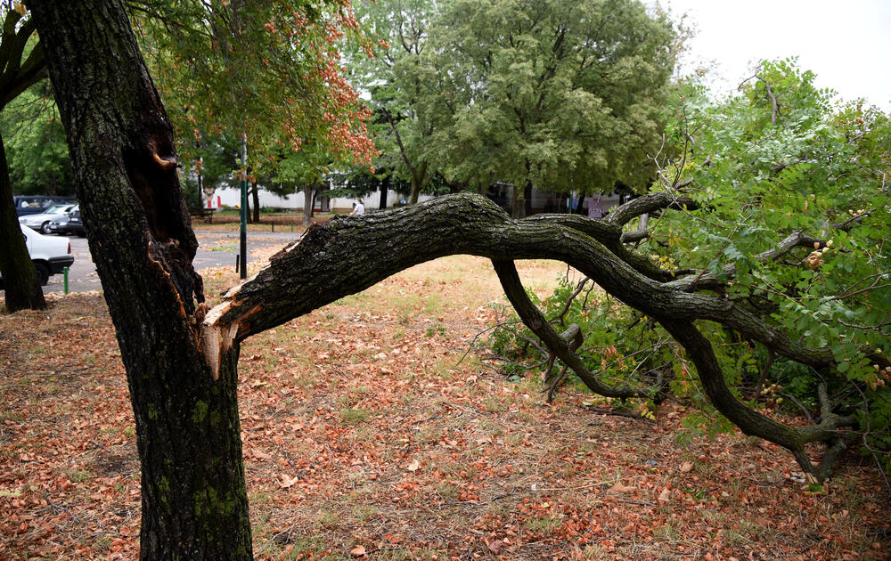 <p>Veliko nevrijeme zahvatilo je sinoć Podgoricu. </p>  <p>Oluja je pričinila veliku štetu - poplavljene su bile ulice, u pojedinim dijelovima grada je voda ušla i u podrume i poslovne prostore u suterenu, a vjetar je na dosta lokacija polomio drveće.</p>  <p>Pogledajte fotografije koje je zailježio fotoreporter "Vijesti", Luka Zeković.</p>