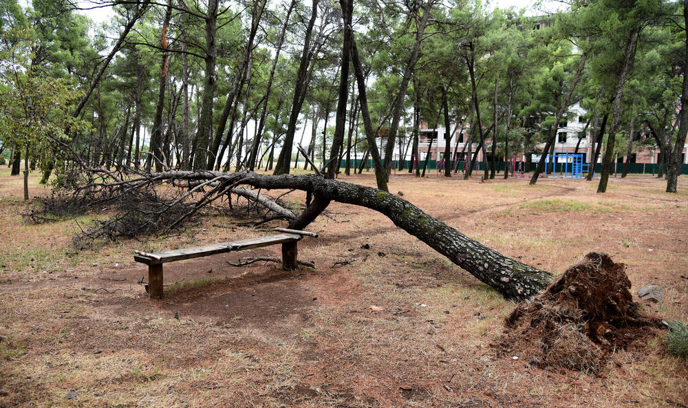 <p>Veliko nevrijeme zahvatilo je sinoć Podgoricu. </p>  <p>Oluja je pričinila veliku štetu - poplavljene su bile ulice, u pojedinim dijelovima grada je voda ušla i u podrume i poslovne prostore u suterenu, a vjetar je na dosta lokacija polomio drveće.</p>  <p>Pogledajte fotografije koje je zailježio fotoreporter "Vijesti", Luka Zeković.</p>