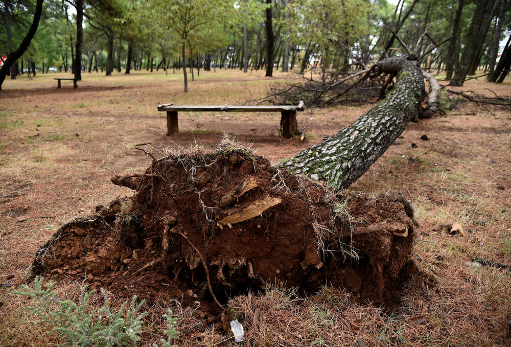 <p>Veliko nevrijeme zahvatilo je sinoć Podgoricu. </p>  <p>Oluja je pričinila veliku štetu - poplavljene su bile ulice, u pojedinim dijelovima grada je voda ušla i u podrume i poslovne prostore u suterenu, a vjetar je na dosta lokacija polomio drveće.</p>  <p>Pogledajte fotografije koje je zailježio fotoreporter "Vijesti", Luka Zeković.</p>