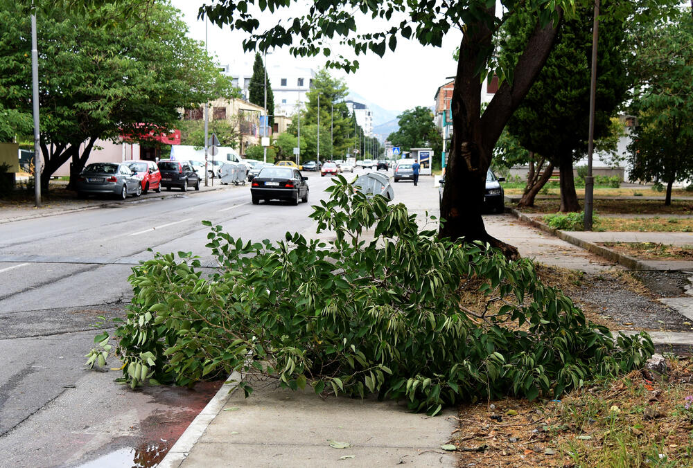 <p>Veliko nevrijeme zahvatilo je sinoć Podgoricu. </p>  <p>Oluja je pričinila veliku štetu - poplavljene su bile ulice, u pojedinim dijelovima grada je voda ušla i u podrume i poslovne prostore u suterenu, a vjetar je na dosta lokacija polomio drveće.</p>  <p>Pogledajte fotografije koje je zailježio fotoreporter "Vijesti", Luka Zeković.</p>