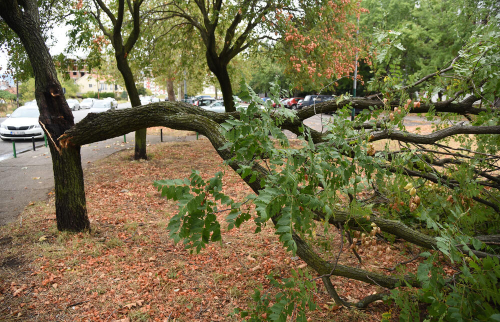 <p>Veliko nevrijeme zahvatilo je sinoć Podgoricu. </p>  <p>Oluja je pričinila veliku štetu - poplavljene su bile ulice, u pojedinim dijelovima grada je voda ušla i u podrume i poslovne prostore u suterenu, a vjetar je na dosta lokacija polomio drveće.</p>  <p>Pogledajte fotografije koje je zailježio fotoreporter "Vijesti", Luka Zeković.</p>