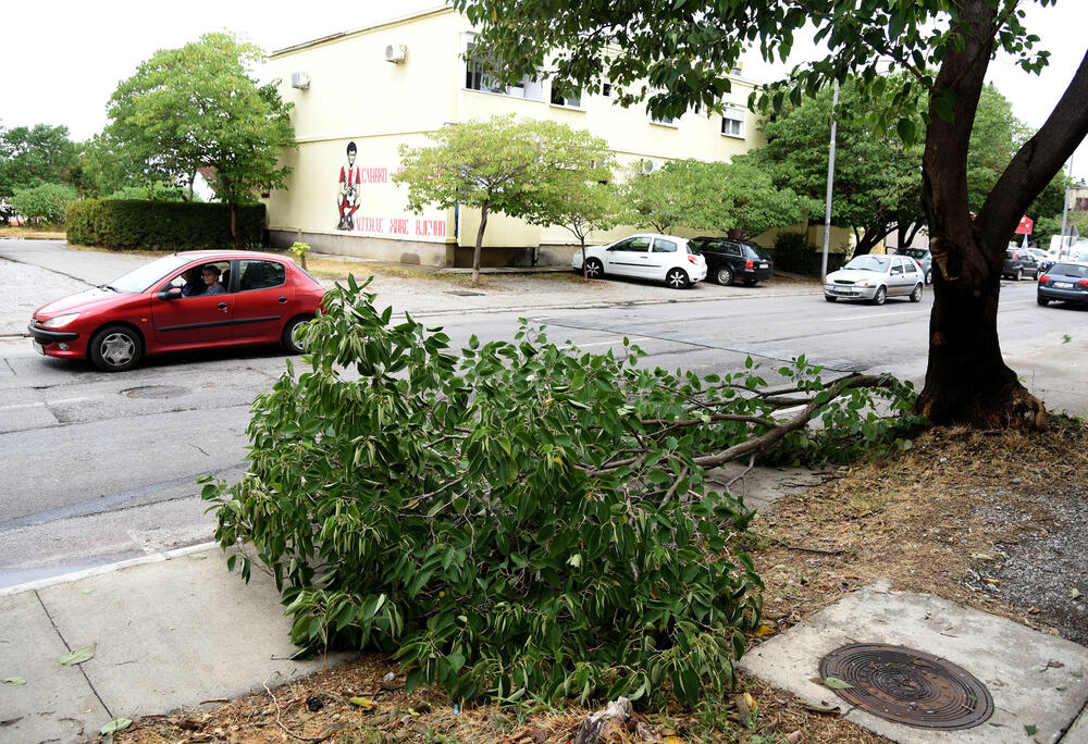 <p>Veliko nevrijeme zahvatilo je sinoć Podgoricu. </p>  <p>Oluja je pričinila veliku štetu - poplavljene su bile ulice, u pojedinim dijelovima grada je voda ušla i u podrume i poslovne prostore u suterenu, a vjetar je na dosta lokacija polomio drveće.</p>  <p>Pogledajte fotografije koje je zailježio fotoreporter "Vijesti", Luka Zeković.</p>