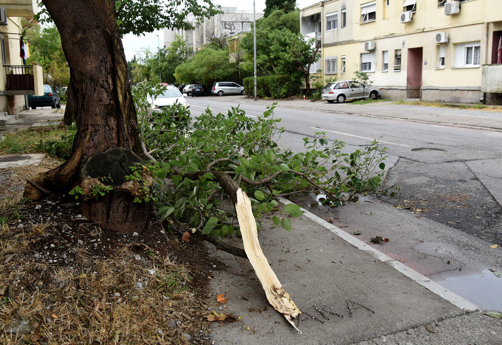 <p>Veliko nevrijeme zahvatilo je sinoć Podgoricu. </p>  <p>Oluja je pričinila veliku štetu - poplavljene su bile ulice, u pojedinim dijelovima grada je voda ušla i u podrume i poslovne prostore u suterenu, a vjetar je na dosta lokacija polomio drveće.</p>  <p>Pogledajte fotografije koje je zailježio fotoreporter "Vijesti", Luka Zeković.</p>