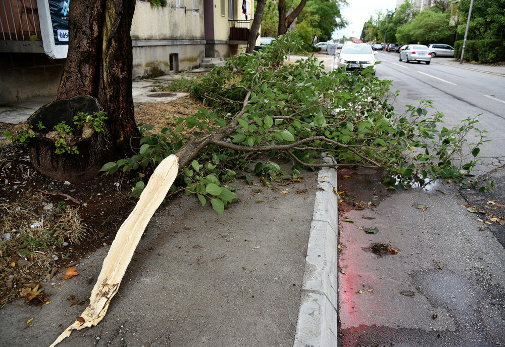 <p>Veliko nevrijeme zahvatilo je sinoć Podgoricu. </p>  <p>Oluja je pričinila veliku štetu - poplavljene su bile ulice, u pojedinim dijelovima grada je voda ušla i u podrume i poslovne prostore u suterenu, a vjetar je na dosta lokacija polomio drveće.</p>  <p>Pogledajte fotografije koje je zailježio fotoreporter "Vijesti", Luka Zeković.</p>