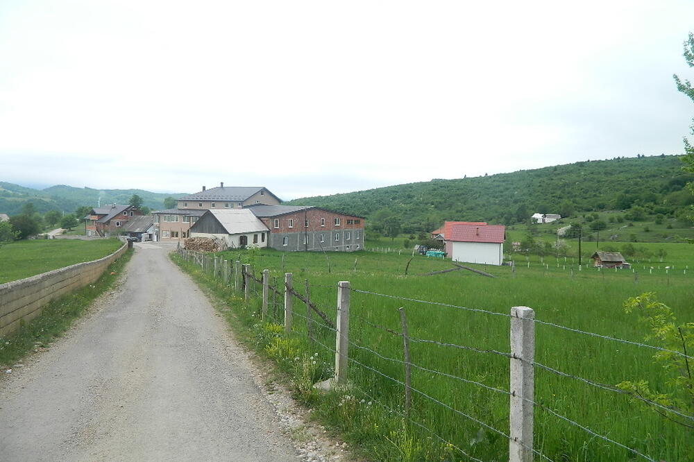 Selo Bor u kome je planirana fabrika, Foto: Tufik Softić