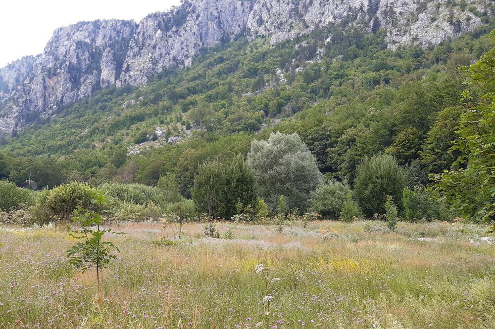 Nekada je tu bilo izletište sa sportskim terenima, restoranom i bungalovima, Foto: Biljana Matijašević