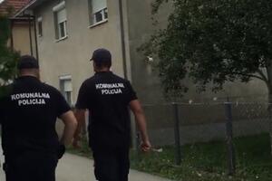 Sporno i što se pas “češe”