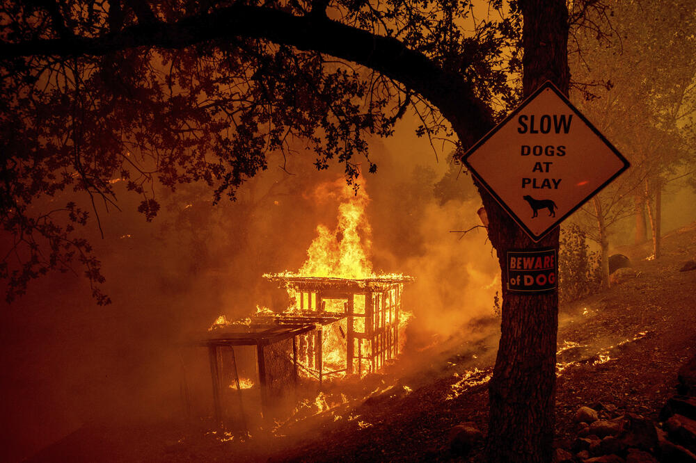 Požar u Kaliforniji, Foto: Beta/AP