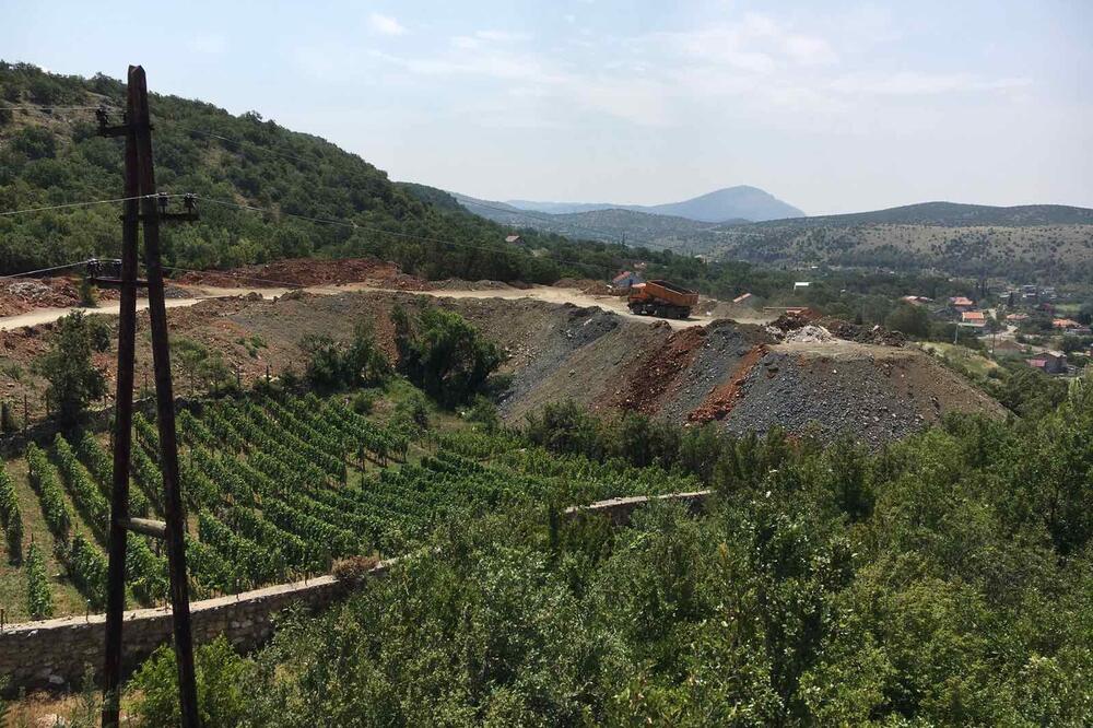 Vinograd sada u rupi, Foto: Borko Ždero