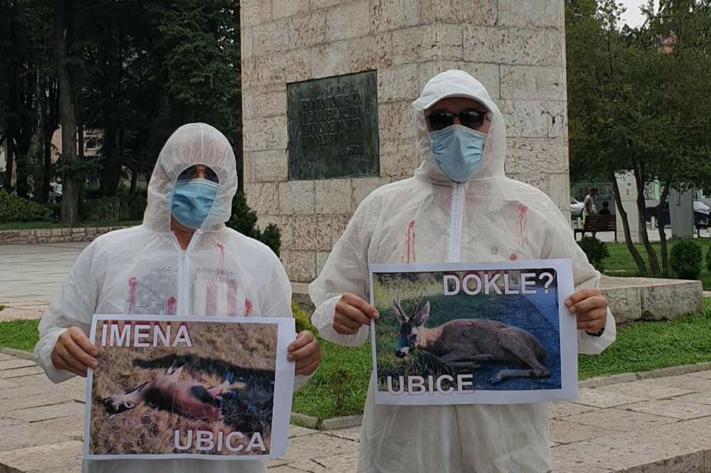 Foto: Jadranka Ćetković