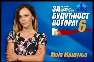 Mršulja: Prioritet koalicije "Za budućnost Kotora" da Kotor...