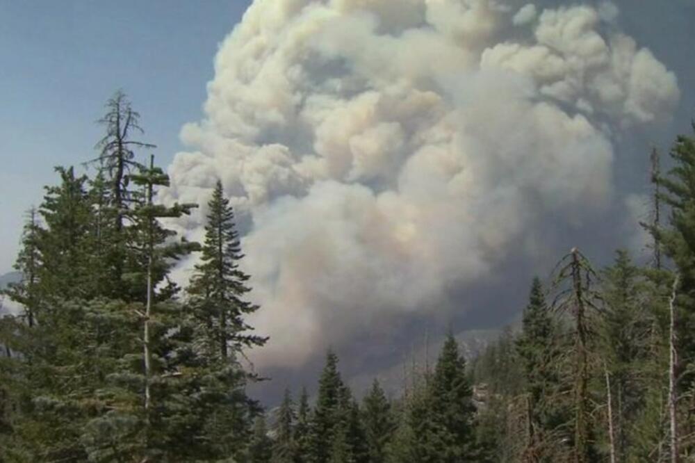 Vatra je zahvatila više hiljada hektara šume, Foto: BBC