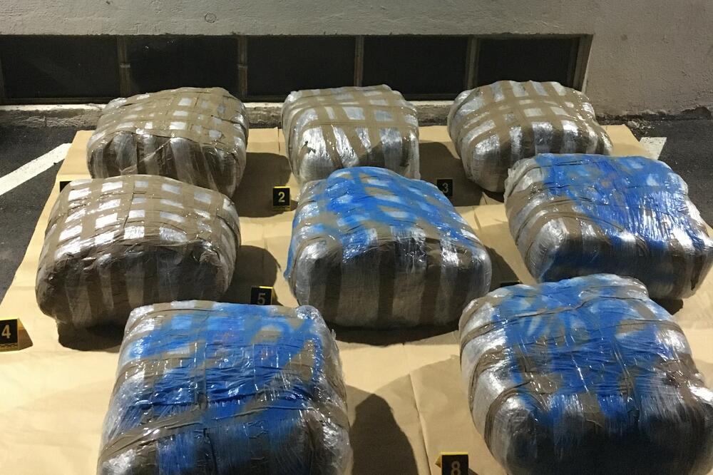 Zaplijenjena marihuana, Foto: UP