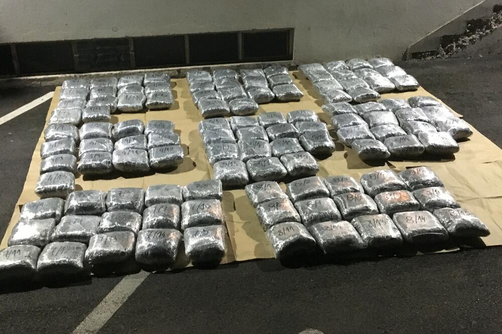 Zaplijenjena marihuana, Foto: UP