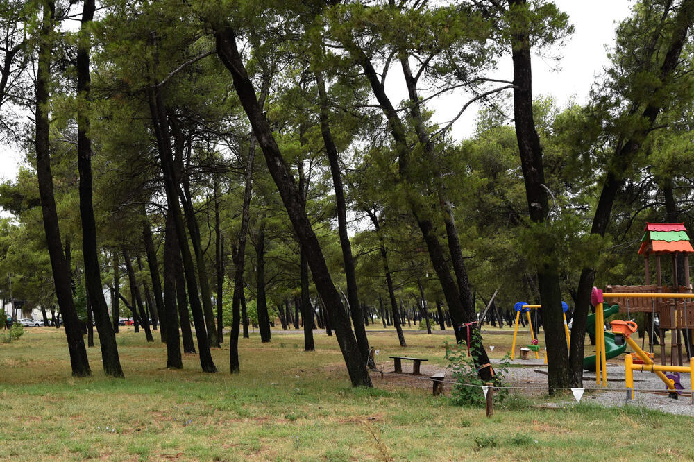 Park šuma Tološi, Foto: Luka Zeković