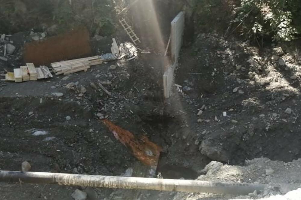 Bare Kraljske, Foto: Dragana Šćepanović