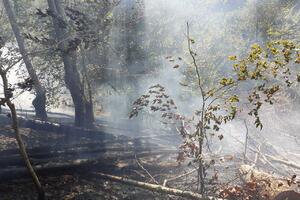 Ugašen požar u Mateševu, vatra pričinila štetu na bukovoj šumi