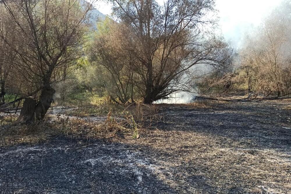 Aktivni požari u NP "Skadarsko jezero", Foto: URA