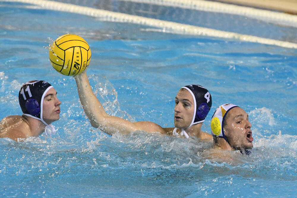 Foto: Savo Prelević