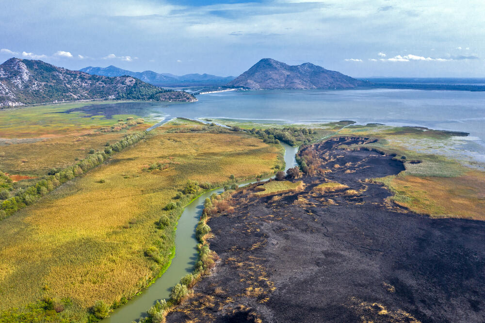 Dio NP Skadarsko jezero koji je zahvaćen požarima, Foto: CZIP