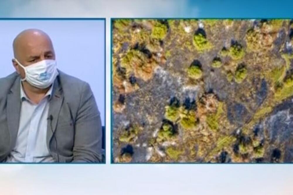 Ivanović, Foto: Prinstscreen