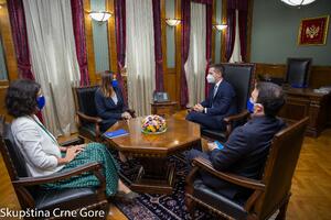 Popa: EU prepoznaje CG kao predvodnicu procesa integracije; Bečić:...