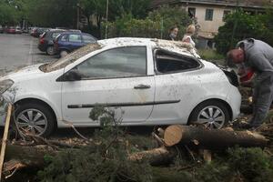 FOTO Obilne padavine i olujni vjetar u Podgorici: Oborena stabla,...
