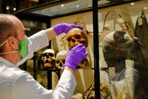 Smrt i arheologija: Oksfordski muzej uklonio morbidnu postavku...