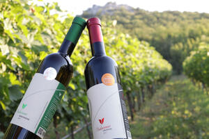 Crnogorski vinari zapaženi: Žetva medalja u Londonu