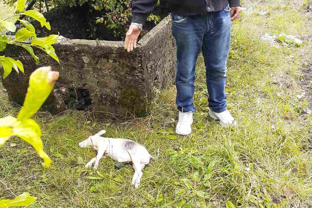 Foto: Privatna arhiva