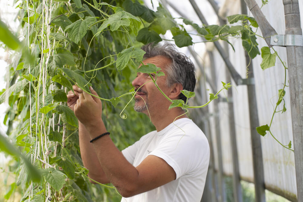Umjetnik u plasteniku, Foto: Privatna arhiva