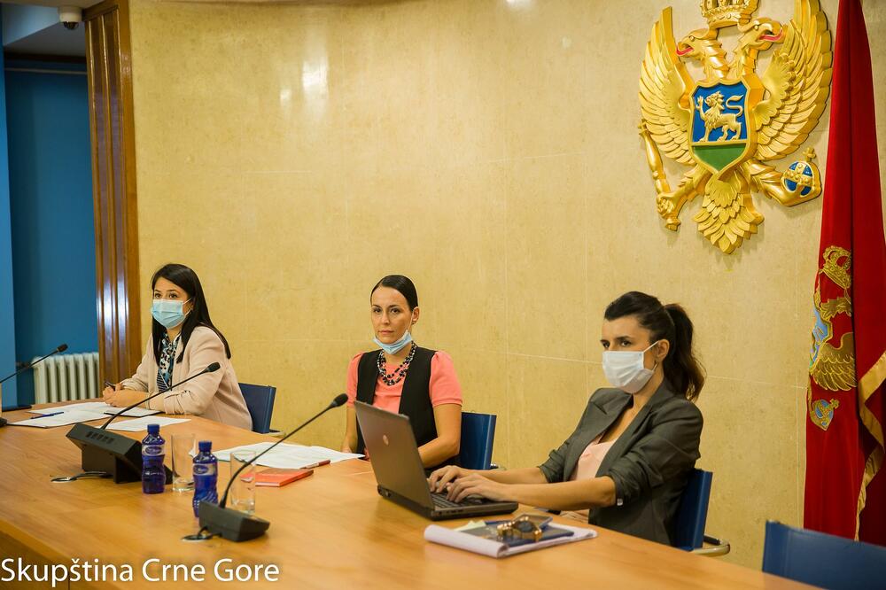 Sa online sastanka, Foto: Skupština Crne Gore