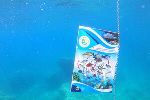 Demontiraju stazu oko ostrva Katič