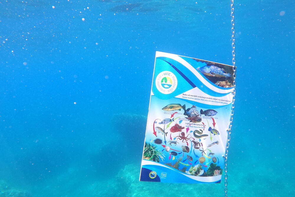 Detalj sa podvodne staze na Katiču, Foto: Dušan Varda