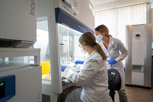 Brzi testovi na COVID-19, rezultati već nakon par sati