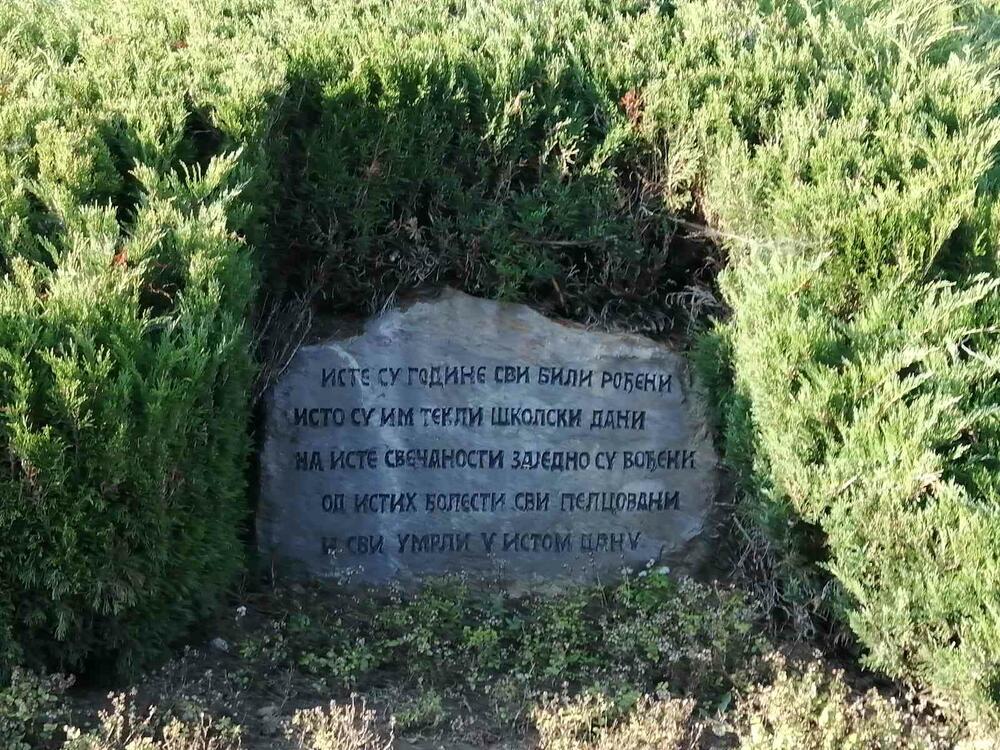 <p>Prema zvaničnim podacima, ubijeno je gotovo tri hiljade ljudi, odvedeni su svi muškarci od 16 do 65 godina, žene i djeca, a pred streljački vod su izvedeni prema naredbi koja je propisivala strijeljanje 100 Srba za ubijenog i 50 za ranjenog njemačkog vojnika...</p>