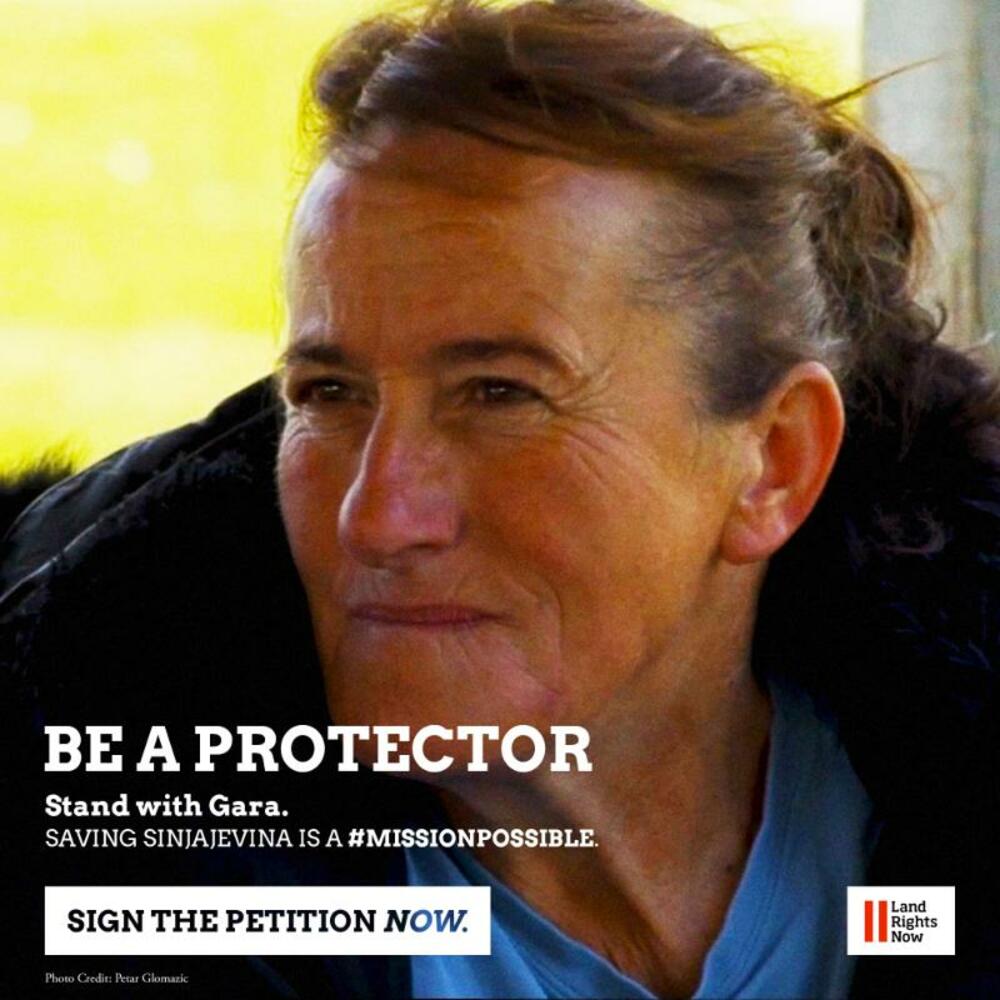 <p>Autori peticije od Vlade Crne Gore zahtijevaju da, kako navode, "uvaži želje svojih građana, zaštiti prirodu i započne pregovore sa lokalnim zajednicama kako bi Sinjajevina bila proglašena za zaštićeno područje u čijem će upravljanju i odlukama o namjeni učestvovati lokalno stanovništvo"</p>