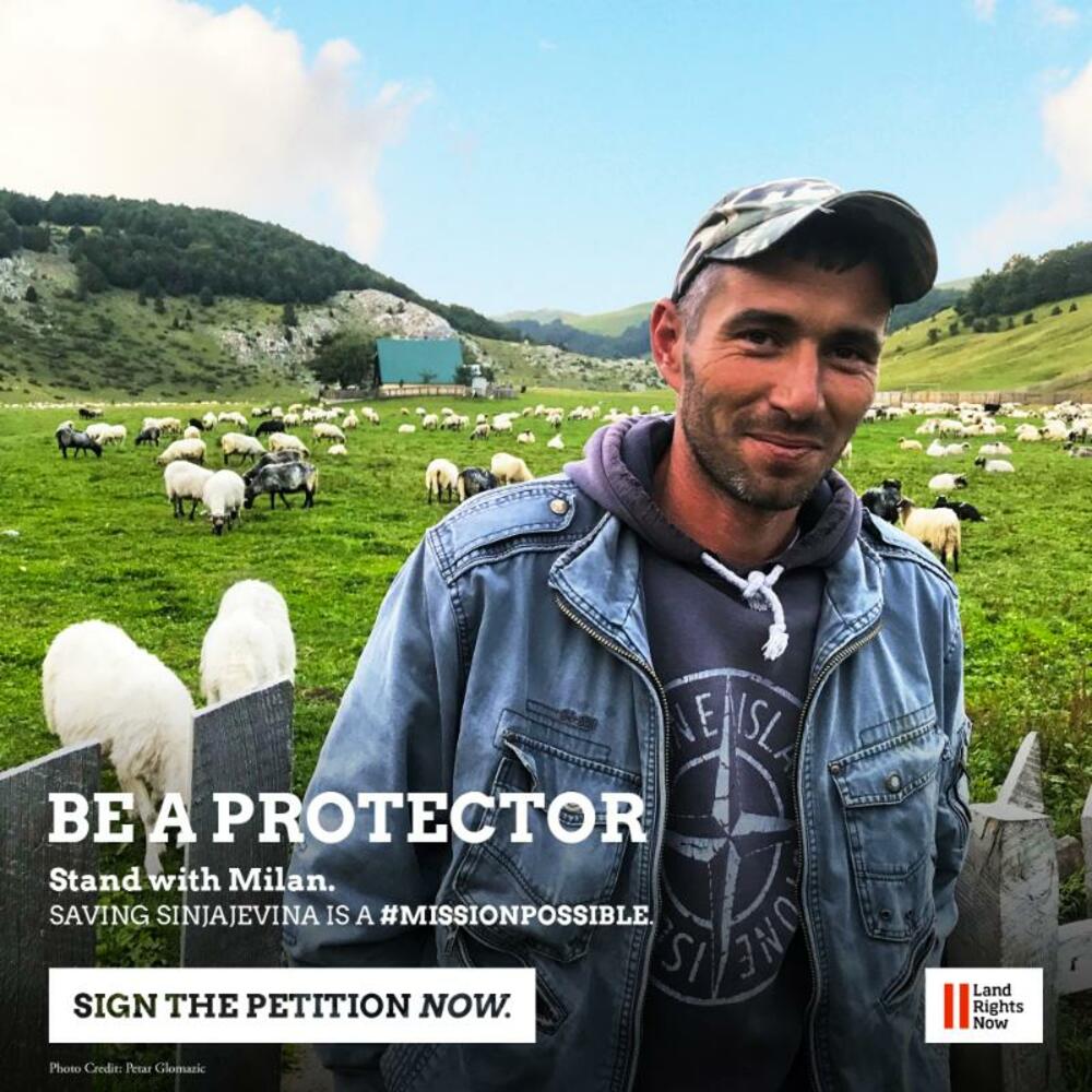 <p>Autori peticije od Vlade Crne Gore zahtijevaju da, kako navode, "uvaži želje svojih građana, zaštiti prirodu i započne pregovore sa lokalnim zajednicama kako bi Sinjajevina bila proglašena za zaštićeno područje u čijem će upravljanju i odlukama o namjeni učestvovati lokalno stanovništvo"</p>