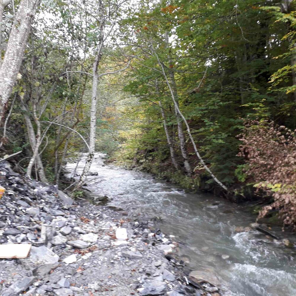 <p>„Odlučni smo u namjeri da obustavimo radove. Dosadašnja vlast nije prezala od gaženja Ustava, kojim je određeno da smo ekološka država, kao i da su svi dužni da čuvaju i unapređuju životnu sredinu. Ovo ne liči na unapređenje životne sredine. Ovo je devastiranje. Glavni investitor ove mHE je kum Blaža Đukanovića, sina predsjednika države. Građani Skrbuše, Rečina i Kolašina odlučni su da ova zaustave“, kazao je jedan od vlasnika imanja u rečinama i na Skrbuši Zoran Medenica</p>