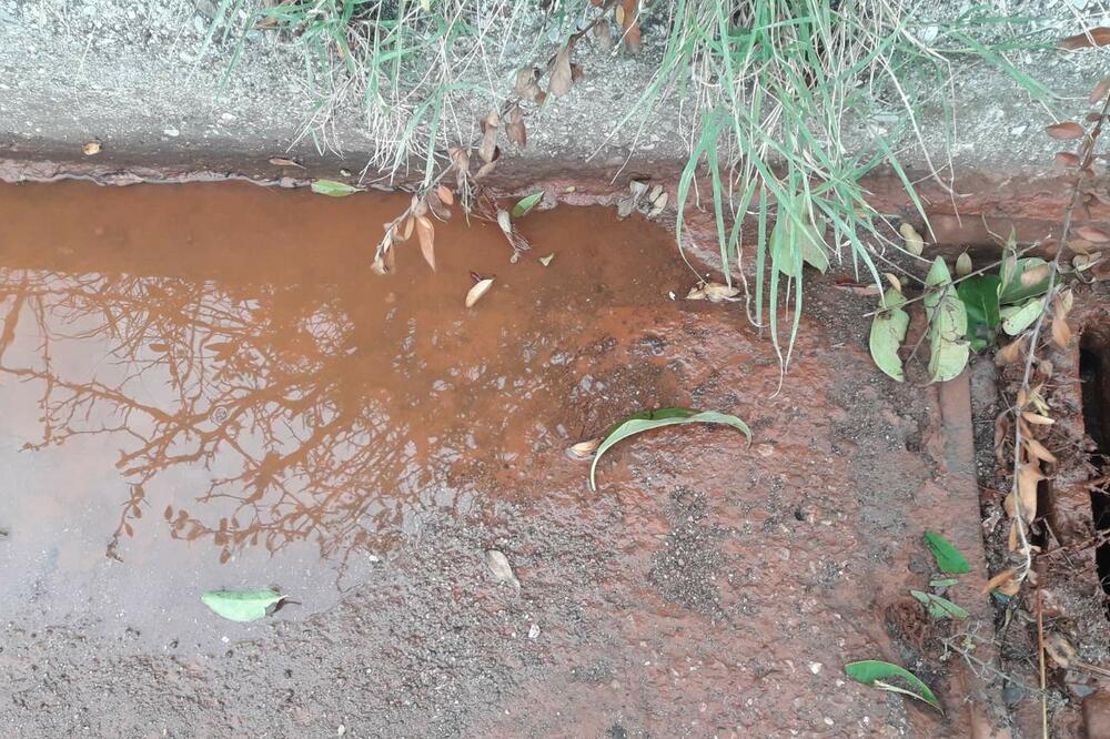 Poplavljeni dio, Foto: Green Home