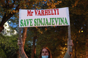 Ekološki aktivisti ispred parlamenta tokom posjete Varheljija