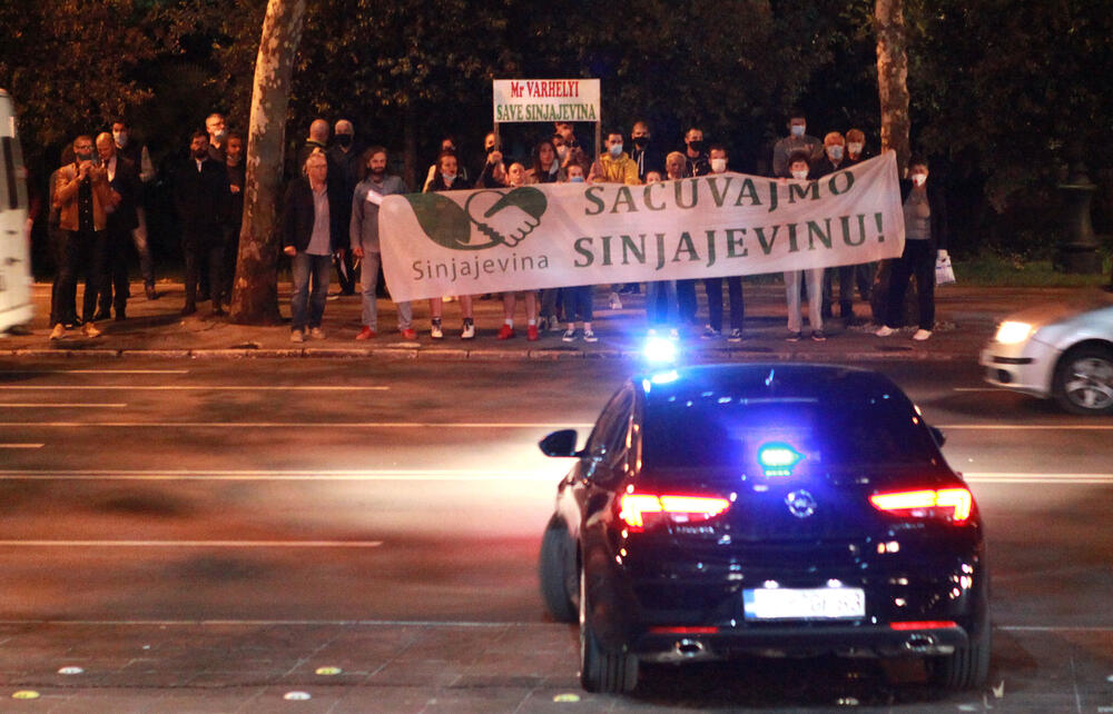 <p>Aktivisti su se okupili kako bi skrenuli pažnju evropskog komesara na peticiju za, kako je najavljeno, očuvanje Sinjajevine</p>